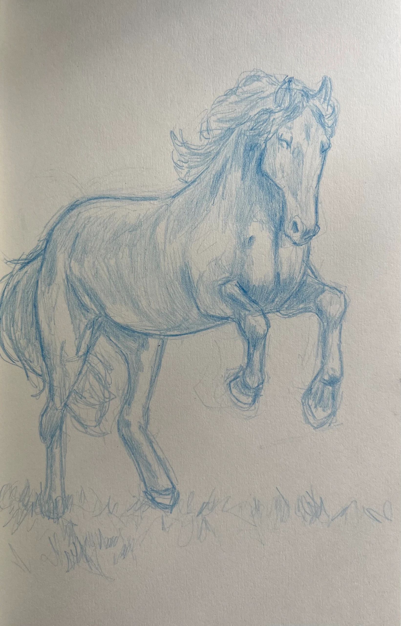 Horse reared up