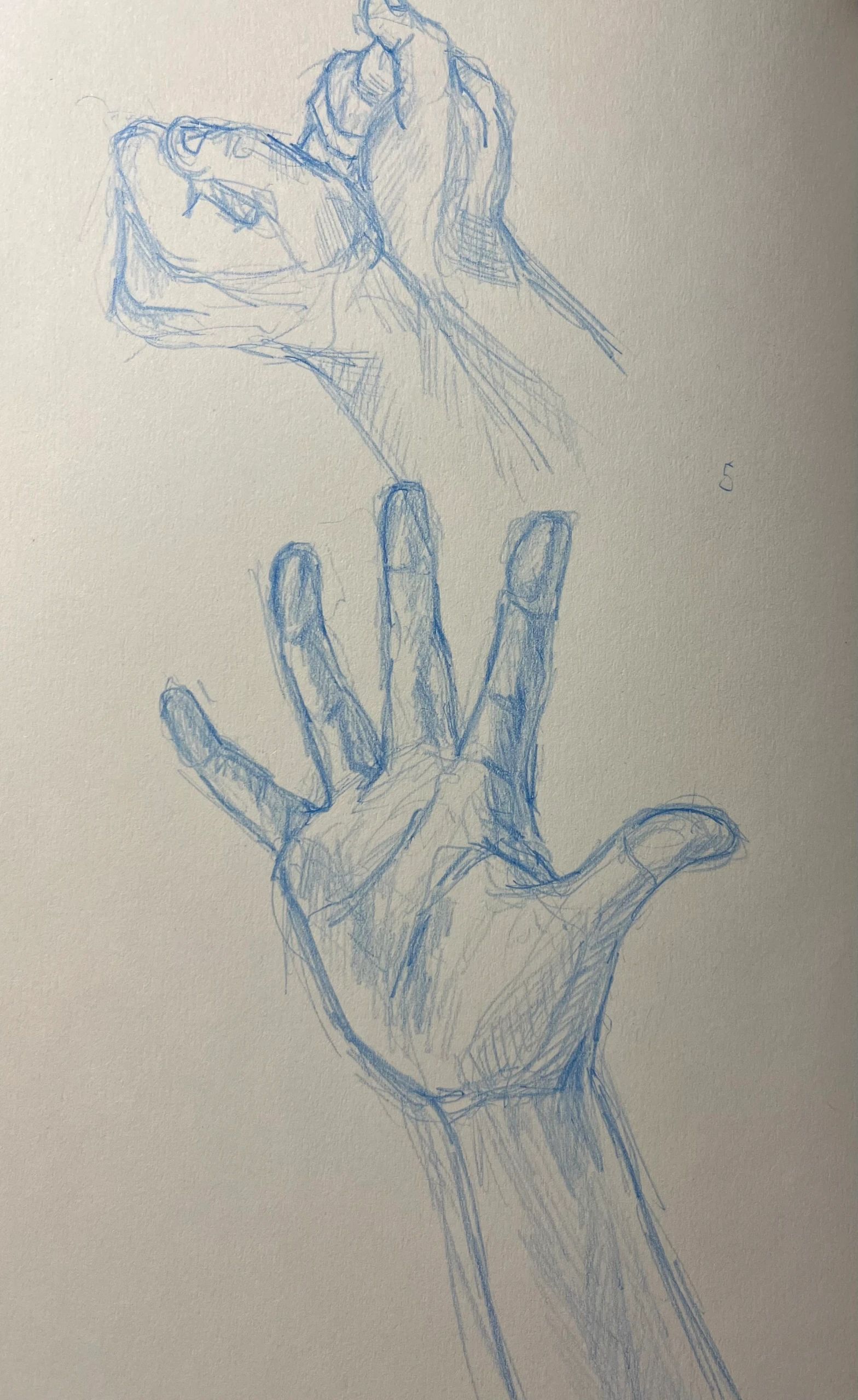Hand gesture practice. One clenched one splayed