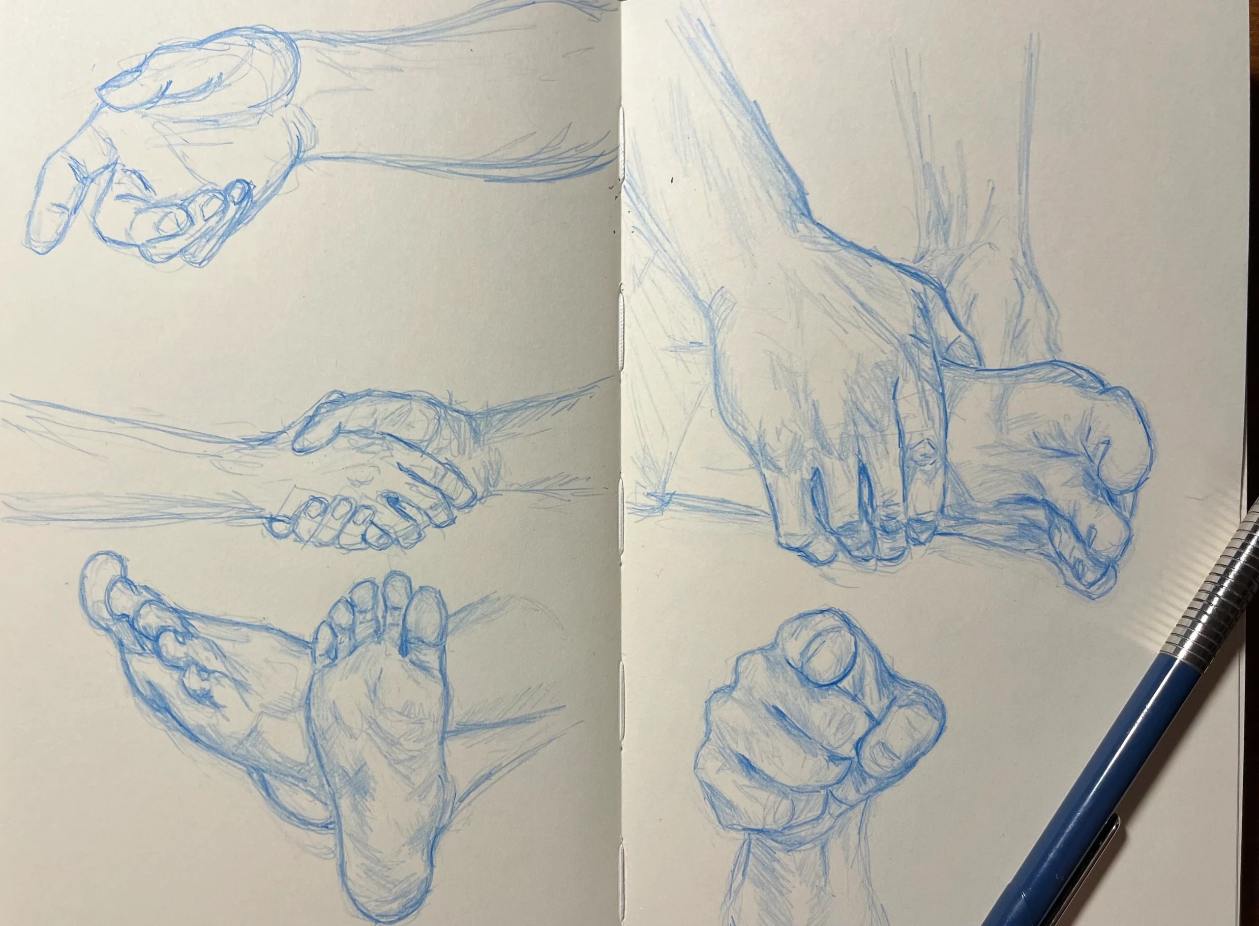 Hand and foot gesture drawings.